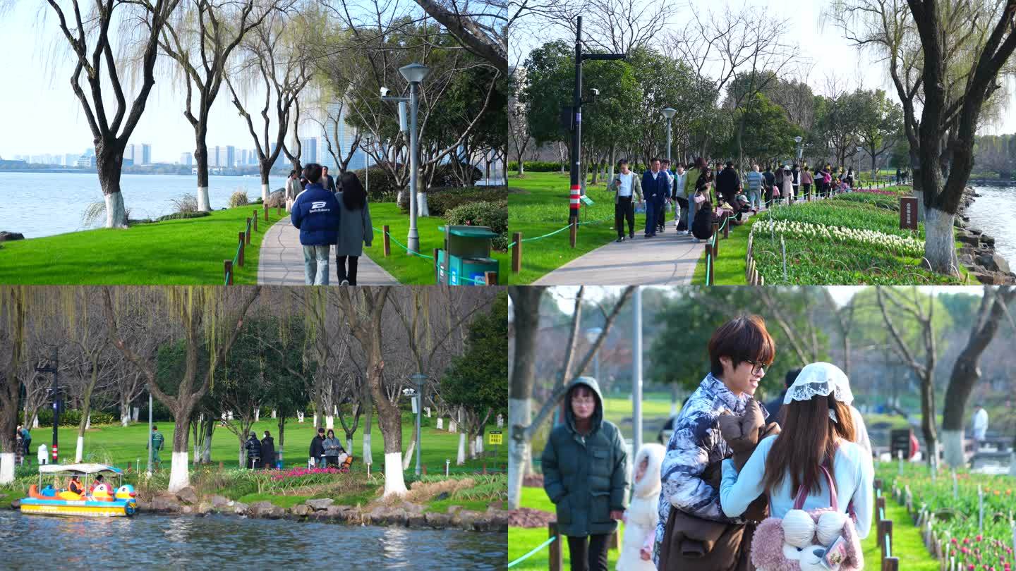 4K早春三月人们在湖边赏郁金香游玩