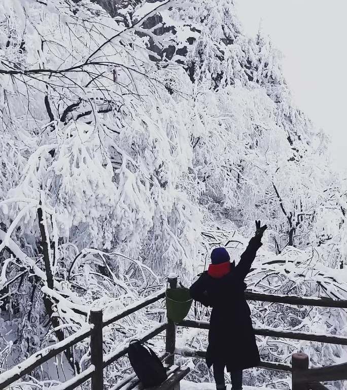 河南栾川老君山雾凇节冬日里漫山遍野的雾凇