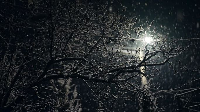 真正的雪，冬夜的雪。寒冷的天气，暴风雪，树木。孤灯照亮街道。雪花飘落，无缝圣诞时光仙境背景。
