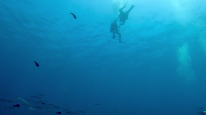 水肺潜水海底沉船水下鱼珊瑚鱼群