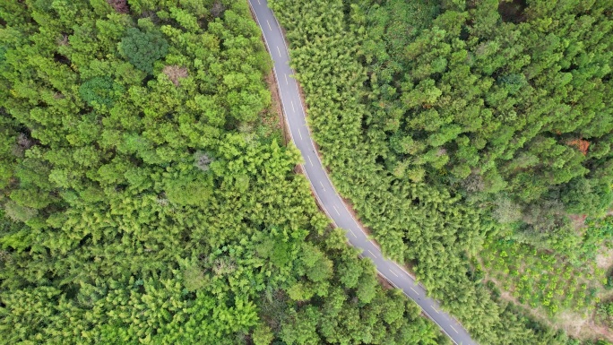 韶关丹霞大道山间公路最美旅游公路航拍