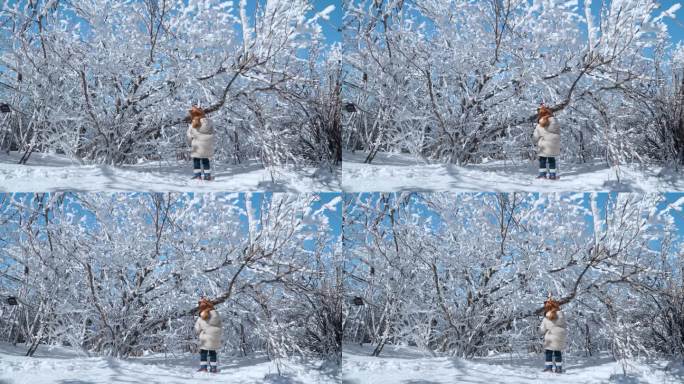 好奇的小女孩站在雪堆上，在韩国江原道八王山的冬季公园里，树枝被雪覆盖