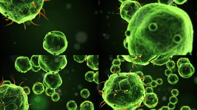 动画细菌细胞和病毒显微镜3d保健和医学背景