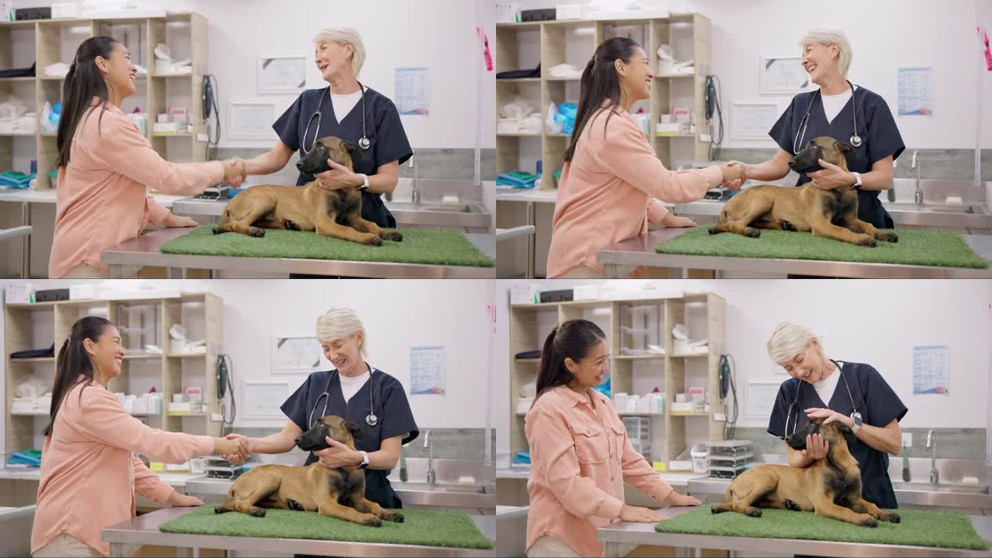 兽医握手，狗和快乐的女人，成熟的医生或医学专家微笑，你好或感谢你治愈动物。宠物护理服务，兽医咨询，兽