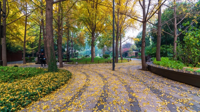 西安光影大唐慈恩寺延时