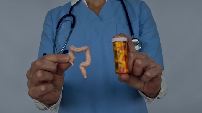 肠道和片剂在医生的手与肠模型