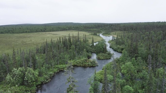 北河在森林中流淌，从上面移开。