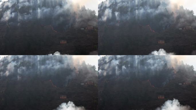 干旱季节，一场野火在尼泊尔陡峭的山坡上燃烧，烟雾直冲云霄。