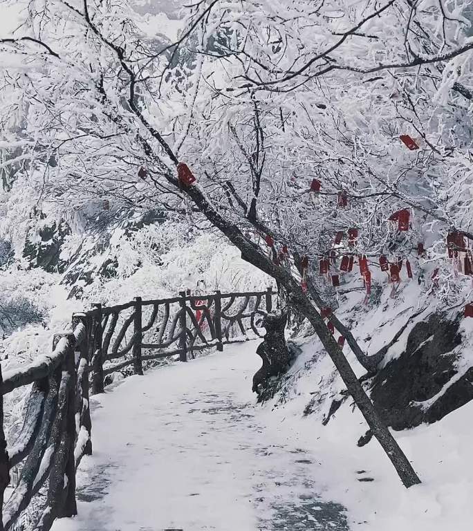 河南栾川老君山雾凇节冬日里漫山遍野的雾凇