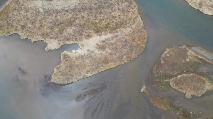无人机拍摄的一个湖，有一个密集的沉淀物和死亡的植物材料在水面上发展