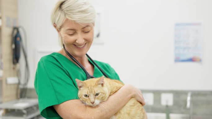 兽医、医生和猫咪抱在一起，微笑着进行医疗评估和健康检查。动物，妇女和健康咨询，疾病或疫苗在医院或诊所