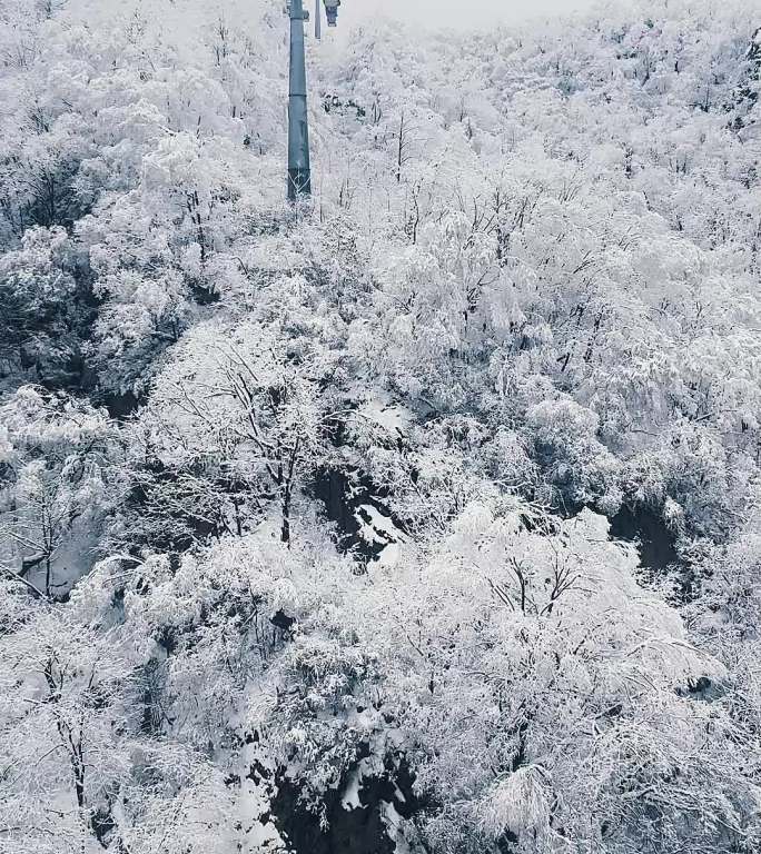 河南栾川老君山穿行在雾凇中的缆车冬天