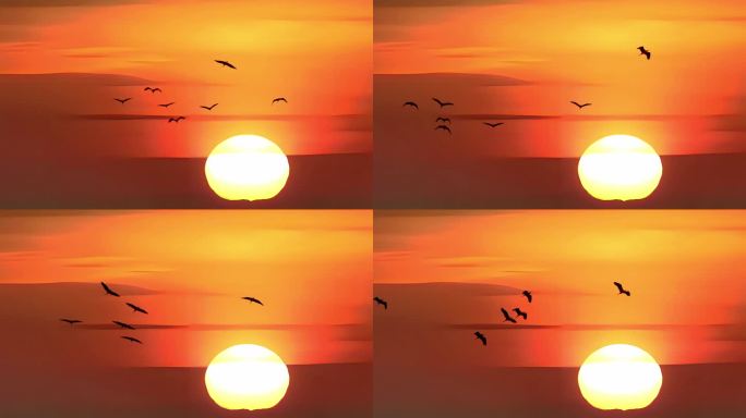 日出飞鸟日落红日夕阳大气宣传片素材升格