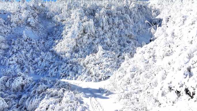 秦岭雪山一群人登山4k