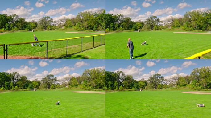 在安娜堡的一个公园里，一个人一边扔玩具一边和狗玩耍的慢镜头