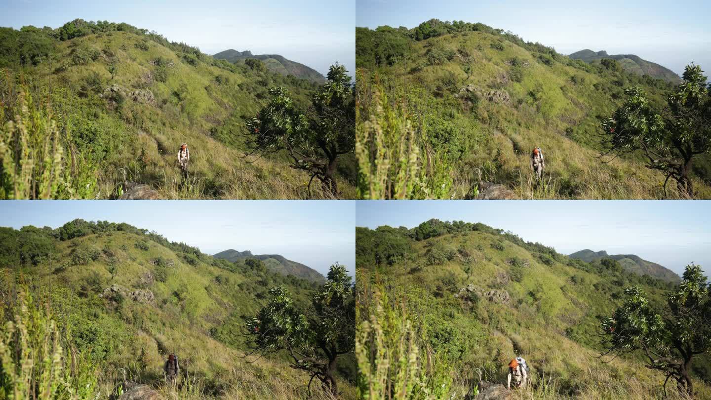 一个西方人沿着东非的山脊线徒步旅行，可以欣赏到令人惊叹的热带景色。