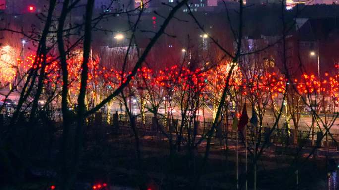 城市夜景红灯笼树风景4K视频素材