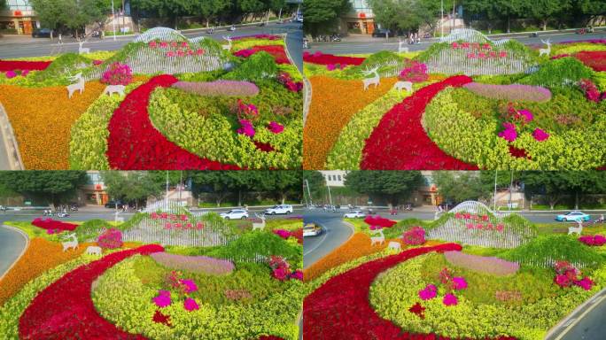 海南三亚城市公园春节阳光花海白鹭公园