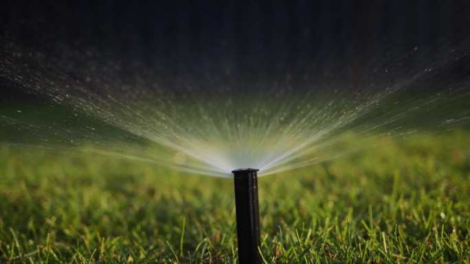 自动灌溉喷头从地面升起。一股水流在压力下灌溉着绿色的草坪