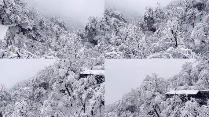 河南栾川老君山雾凇节冬日里漫山遍野的雾凇