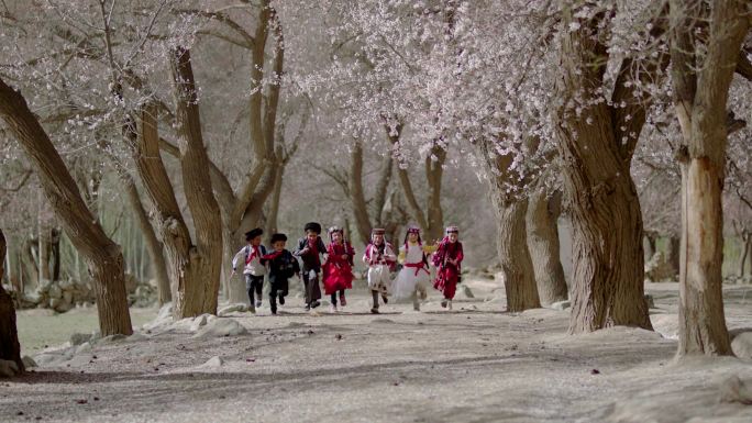 新疆杏花树下的小学生们