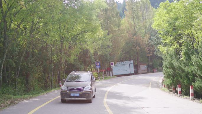 甘肃 麦积山 麦积山石窟 山路 林荫小道