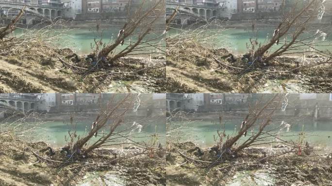 洪水过后的残破河床实拍视频素材