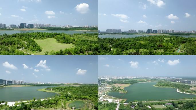 【4K原创】合肥公园少荃湖天然湿地公园