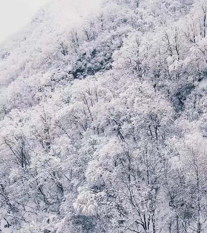 河南栾川老君山穿行在雾凇中的缆车冬天