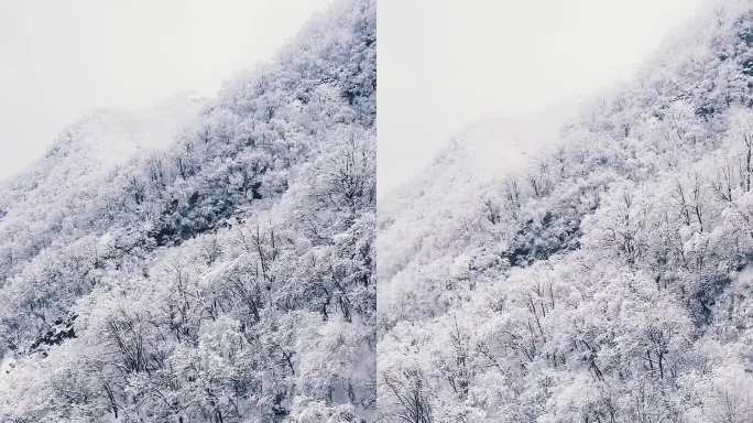 河南栾川老君山穿行在雾凇中的缆车冬天