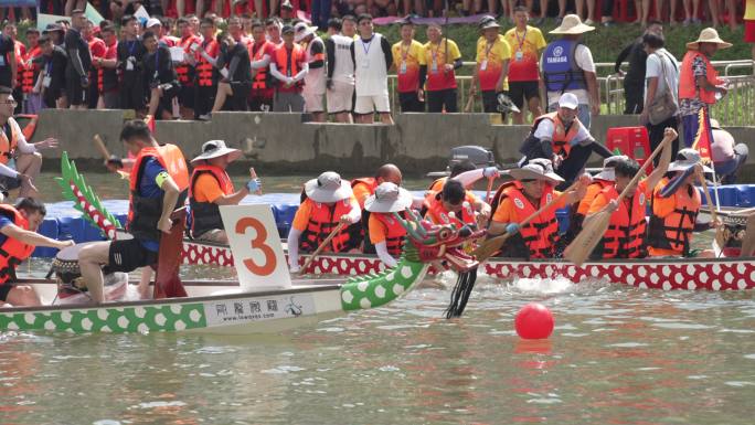 龙舟赛 端午节 观澜河 传统文化