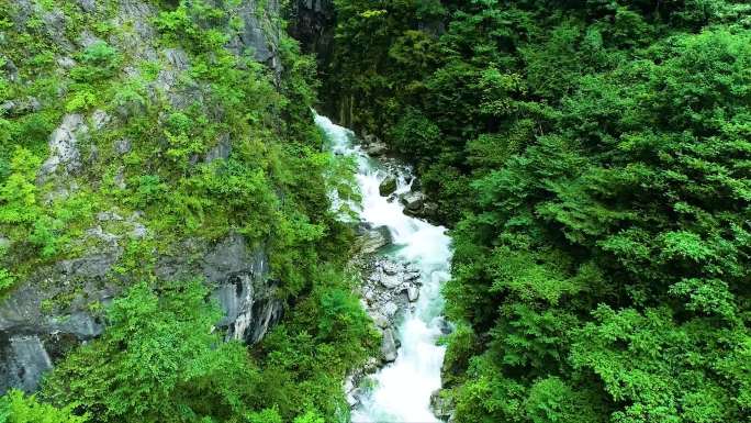 镇坪河流黄连农业山河风景