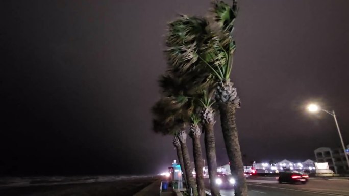 极端天气强风在夜间吹动棕榈树