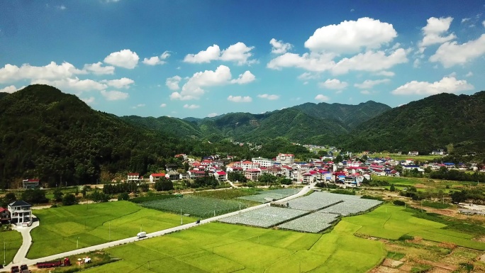 4K 航拍 村庄 山 稻田 乡村