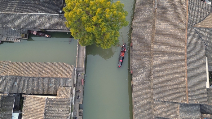 【4K】绍兴安昌古镇合集 含航拍