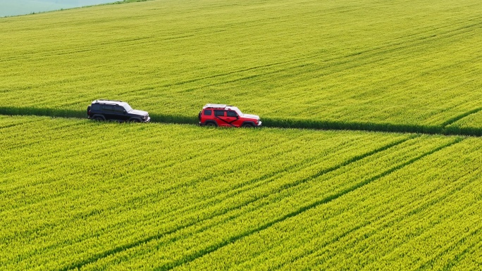 汽车 穿越 草原 麦田