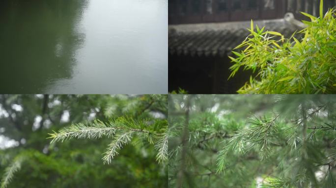 春雨润万物