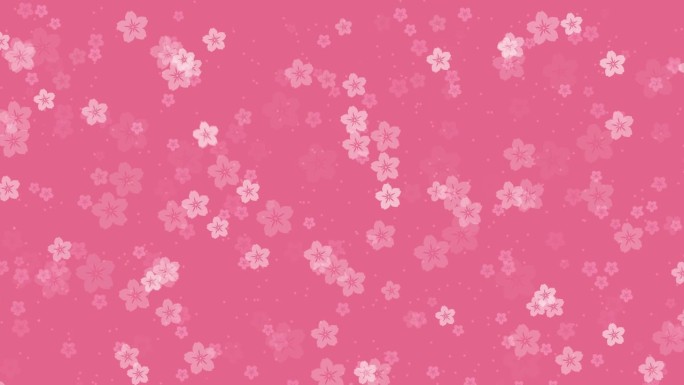 抽象樱花落在粉红色的背景