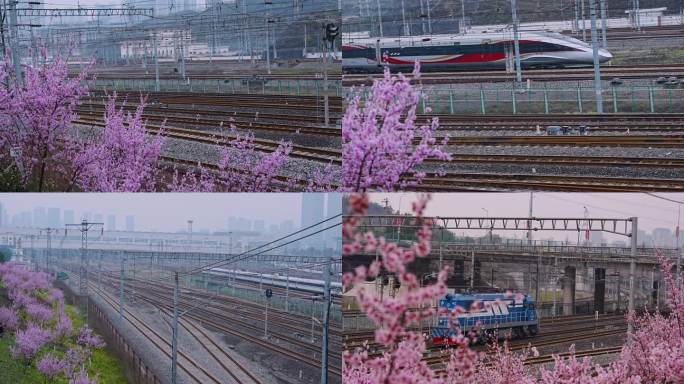 中国 高铁 动车和谐号 复兴号春天的列车