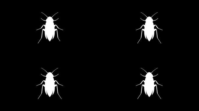 蟑螂图形动画。阿尔法通道。4 k的决议