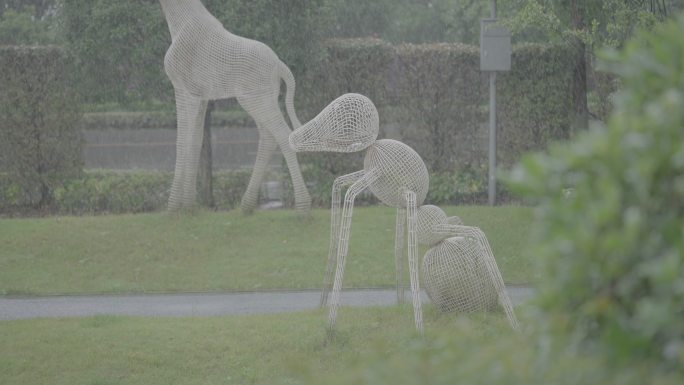 城市暴雨天气灰片