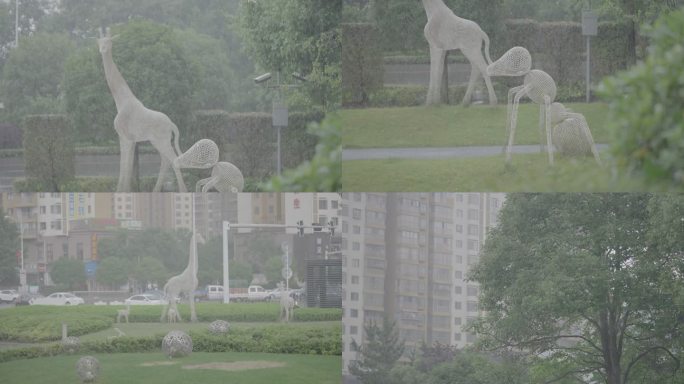 城市暴雨天气灰片