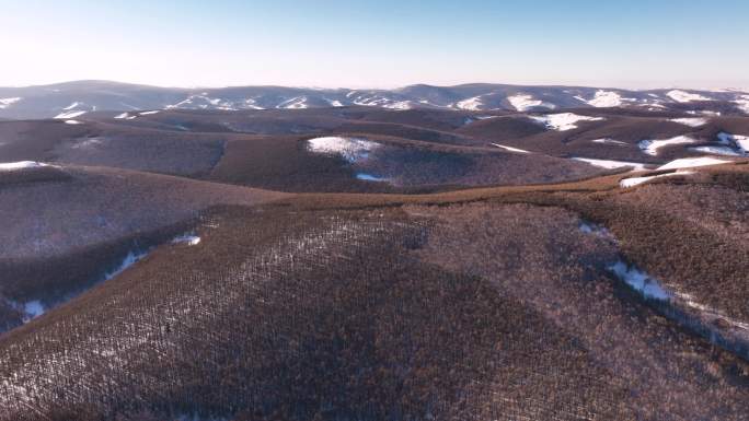 大气航拍 大兴安岭冬天雪景 山林