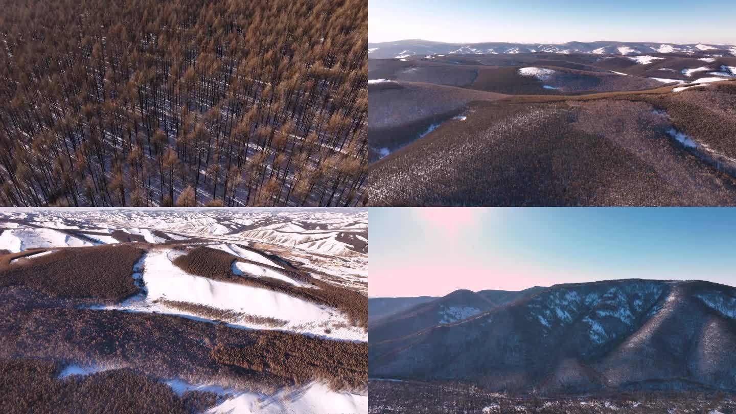 大气航拍 大兴安岭冬天雪景 山林