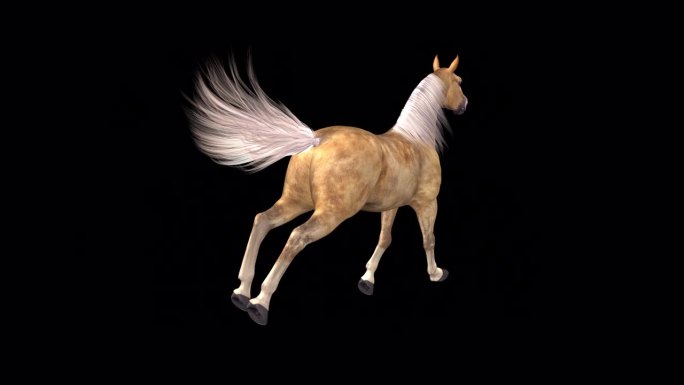 帕洛米诺棕色和白色的马-奔驰跑环侧视图CU