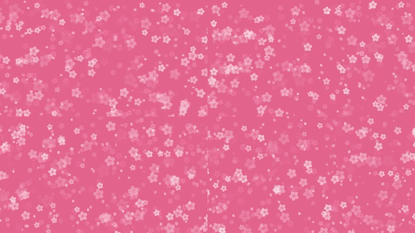 抽象樱花樱花粉红色的背景