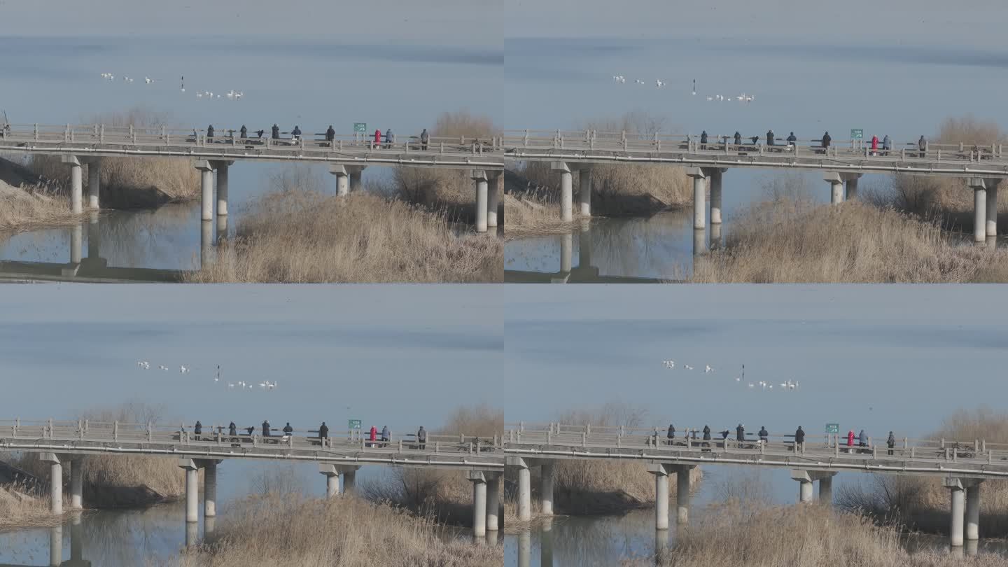 济南鹊山水库沉沙池