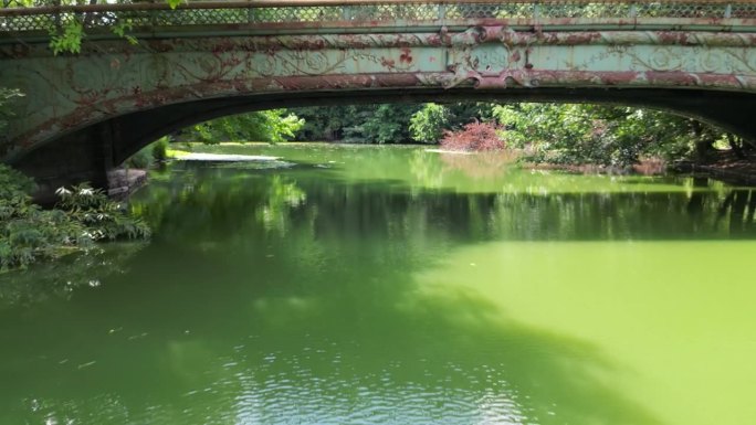 河流与翡翠绿的水-视频捕捉的自然现象。水盛开-宁静流动的绿色河水。宁静的自然景观的河流与独特的翡翠色