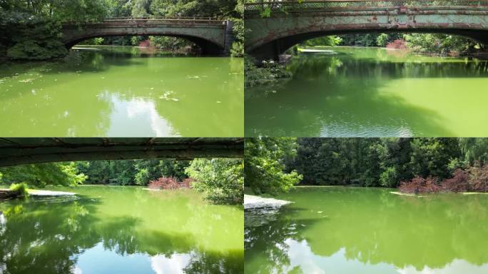 河流与翡翠绿的水-视频捕捉的自然现象。水盛开-宁静流动的绿色河水。宁静的自然景观的河流与独特的翡翠色