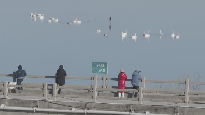 济南鹊山水库沉沙池